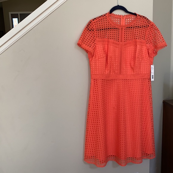 FIRM..Antonio Melani Stella Lace Scallop A Line Dress. - Picture 2 of 13